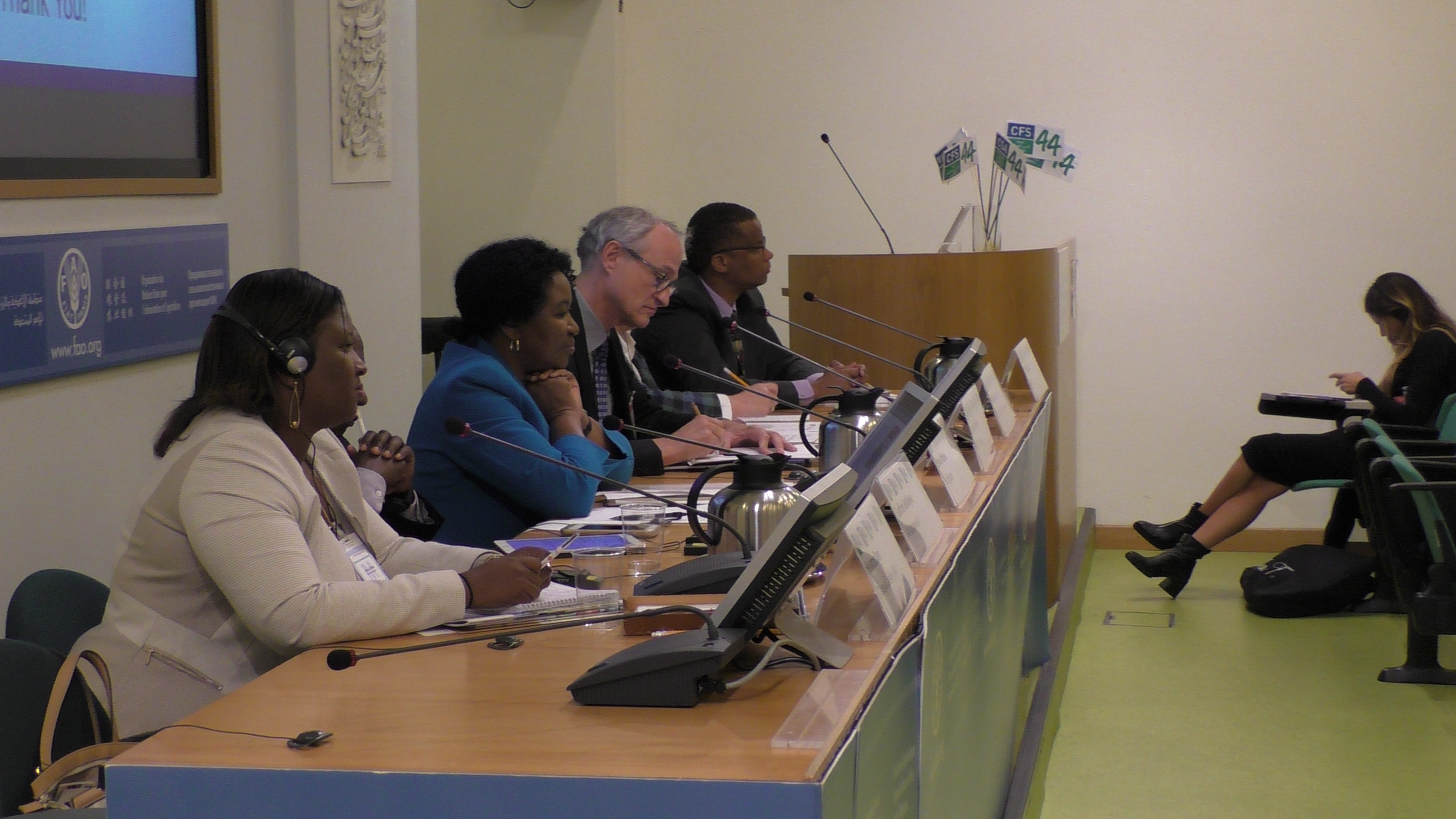 Panel at he CFS side event on rural youth