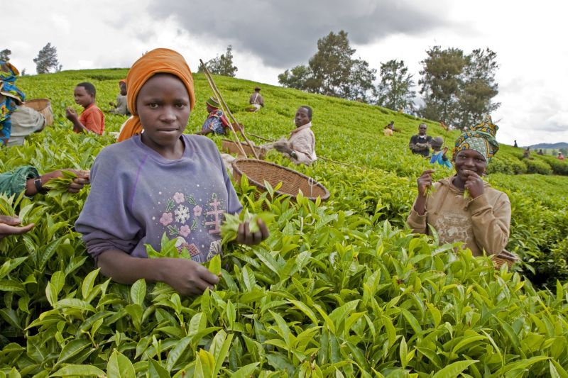 © IFAD/Susan Beccio